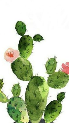 a watercolor painting of a cactus with pink flowers