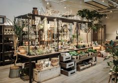 a room filled with lots of different types of plants and pots on shelves next to each other