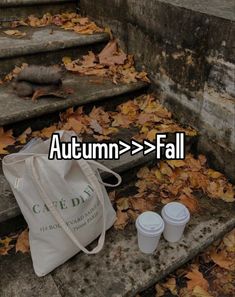 two cups and a tote bag sitting on the steps with autumn leaves around them