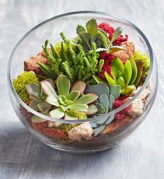 a glass bowl filled with succulents and rocks