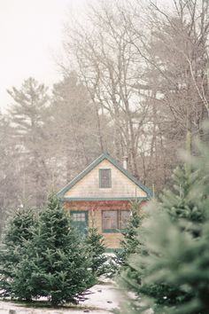 a small house surrounded by trees in the snow