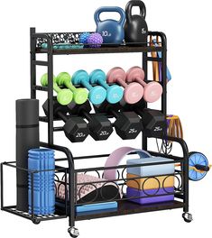 a rack with dumbs, plates and exercise equipment