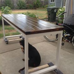 a black and brown dog sitting under a table