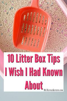 a red colander with the words 10 litter box tips i wish i had known about