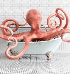 an octopus sitting in a bathtub with its tentacles curled up