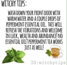 Magickal Tips, Witch Meditation, Eclectic Witch, Witchcraft For Beginners, Peppermint Tea, Herbal Magic