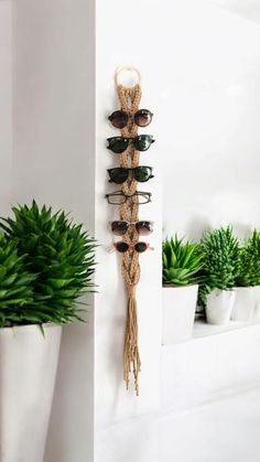 there is a plant and some sunglasses hanging on the wall