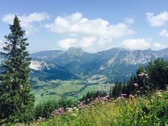 the mountains are covered in green grass and wildflowers