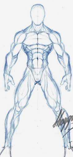 a drawing of a man's torso and arms, with the muscles drawn in blue ink