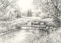 a pencil drawing of a river in the woods with grass and trees on either side