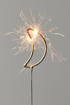 a sparkler that is sitting on top of a stick with some kind of thing in it