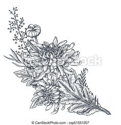 an ink drawing of flowers and leaves on a white background stock photo, images and royalty