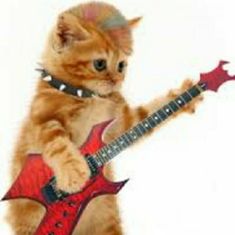 a kitten playing with a red guitar on the app store's playlist page