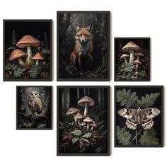 four paintings of different types of mushrooms and animals