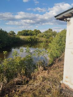 there is a small body of water in the middle of trees and bushes next to it