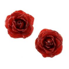 two red flowers are shown on a white background