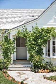 a white house with ivy growing on the side