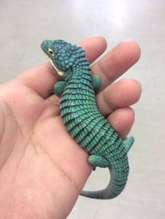 a small green lizard sitting on top of someone's hand