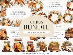 the citrus bundle includes oranges, pine cones and other items for christmas decorating