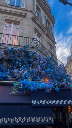 blue flowers are growing on the side of a building in paris, france at dusk