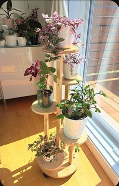 three tiered plant stand with potted plants on it in front of a window