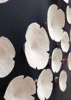 some white flowers are hanging on the wall in front of a black background with light coming through them