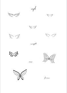 a drawing of different types of butterflies on a white background with the words angel written in black ink