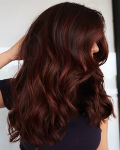 Mahogany Hair Color With Highlights, Red Highlights Hair, Highlights Hair Ideas, Beautiful Dark Brown Hair, Mahogany Red Hair, Mahogany Hair Color, Pictures Of Red, Red Highlights In Brown Hair, Chestnut Highlights