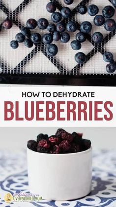 how to dehydrate blueberries in a bowl with the title overlay