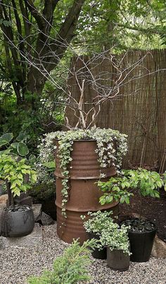 several pots with plants growing out of them in the middle of a gravel garden area