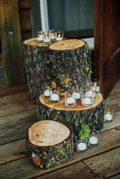 candles are placed on top of the tree stumps