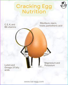 What kind of nutrition does the eggs have? Eggs are attracting attention not only because they are nutritious, but also because they have many benefic Egg Facts, Egg Nutrition, Egg Benefits, High Cholesterol Levels, Improve Nutrition, More Protein, Liver Detoxification, Women Health Care