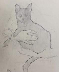 a drawing of a person holding a cat with one hand and the other arm wrapped around it