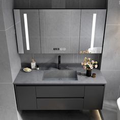 a bathroom with a sink, mirror and toilet