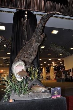 an alligator is on display in a museum with other animals and plants around the exhibit