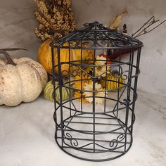 a birdcage filled with pumpkins and gourds sitting on a table