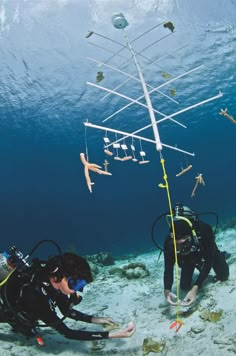 two people in scuba gear are looking at an object on the water's surface