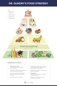 There are several reasons the old dietary “rules” just don’t work anymore. And all we really have to do is listen to the struggles of so many. So, I’d like to introduce what I believe to be a newer and much-improved food strategy... Plant Paradox Food List, Keto Food Pyramid, Plant Paradox, Detox Diet Plan, Food Pyramid