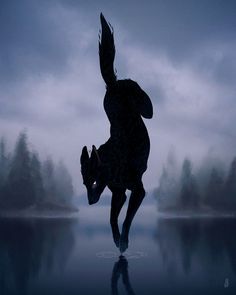 a horse is running in the water at night