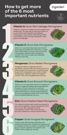 the info sheet shows how to get more important ingredients from different plants and vegetables, including broccoli