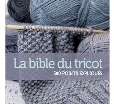 the cover of la bible du tricot 300 points expliques