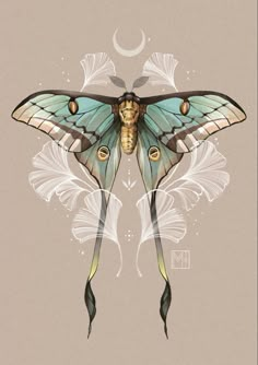 a drawing of a butterfly with wings on it's back