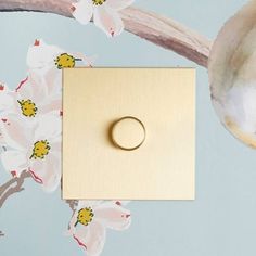 a light switch sitting on top of a wall next to a white flowered plant