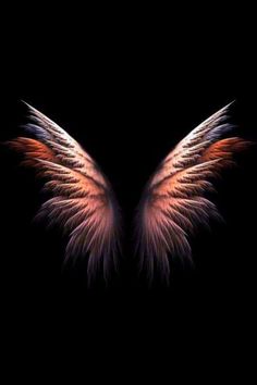 the wings of an angel on a black background