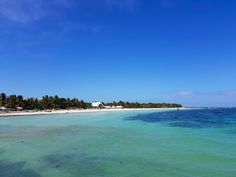 the water is very clear and blue on this tropical beachfront area, with palm trees in the background