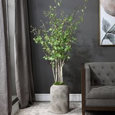 a potted plant sitting on top of a table next to a chair