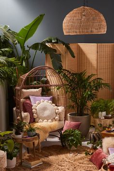 a room filled with lots of plants next to a hanging basket chair and wicker furniture