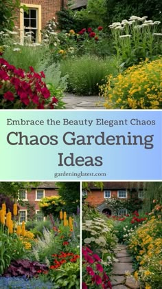 a garden with lots of colorful flowers and plants in the foreground text reads embrace the beauty