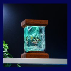 an aquarium is displayed on a shelf in front of a potted plant