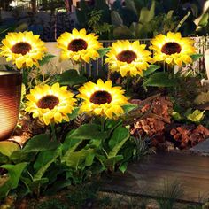 sunflowers are blooming in the middle of a garden